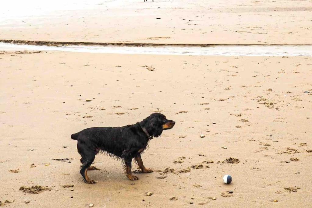 Large Cottage, Beach, Pubs Shops, Netflix, Bbq, Dog Friendly Hunmanby Kültér fotó