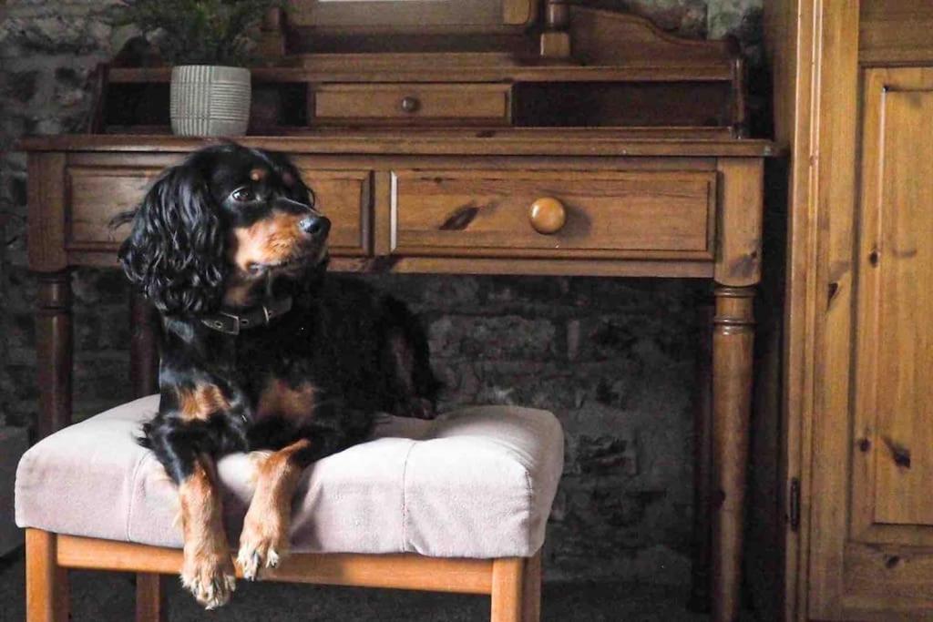 Large Cottage, Beach, Pubs Shops, Netflix, Bbq, Dog Friendly Hunmanby Kültér fotó