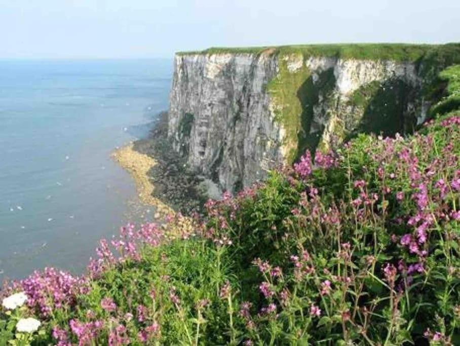 Large Cottage, Beach, Pubs Shops, Netflix, Bbq, Dog Friendly Hunmanby Kültér fotó